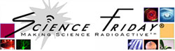 Science Friday